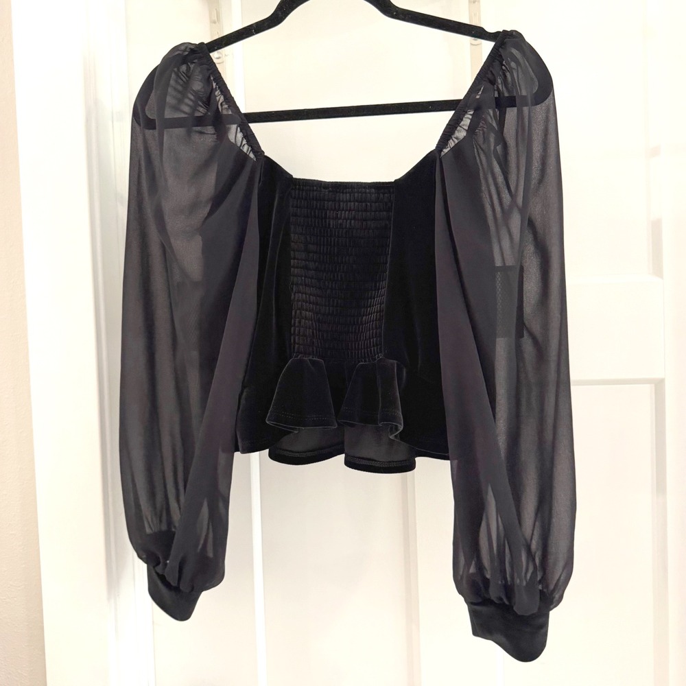 Band of the Free Black Velvet Sheer Mesh Sleeve Smocked Top M Romantoc - Picture 4 of 5